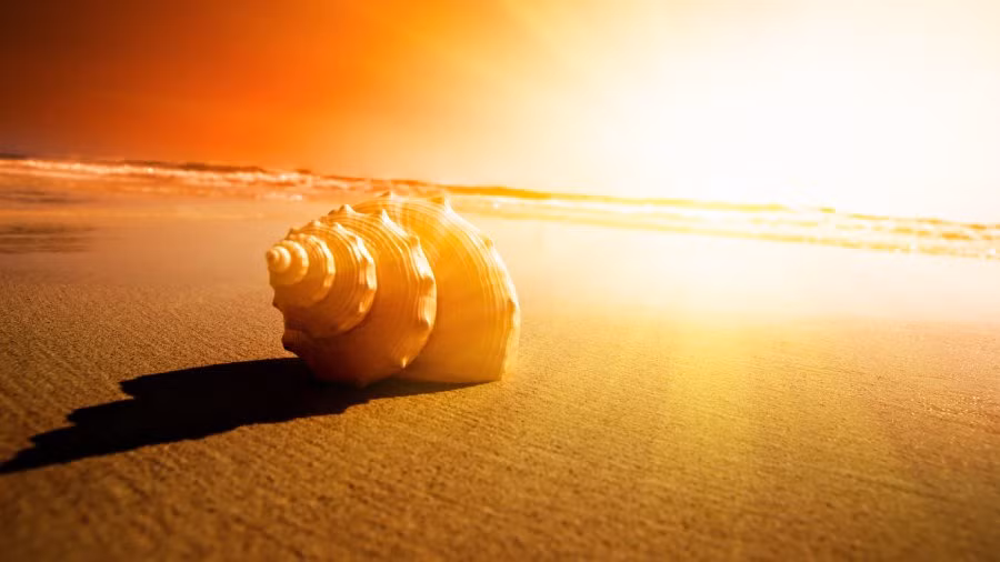 Nhung nam cuoi doi co an yen, thanh than hay khong phai xem lai 1 dieu