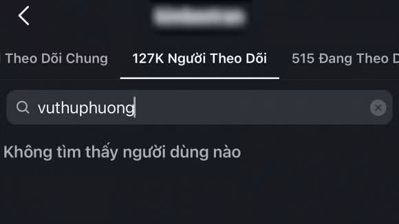 Moi quan he giua Vu Thu Phuong va con gai cua chong cu-Hinh-2