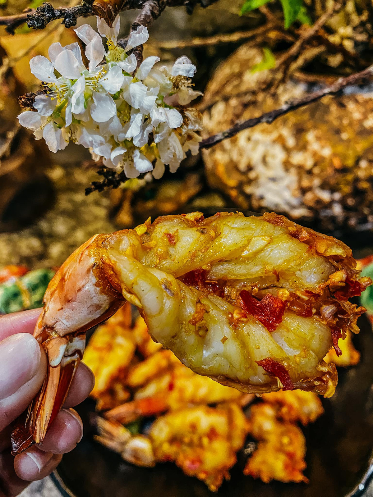 Loai thit co protein cao, giup giam nguy co mac benh dot quy-Hinh-12