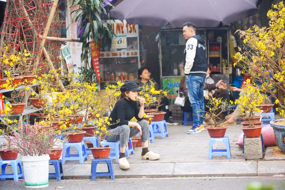 Tiểu thương bán mai vàng ngóng khách.