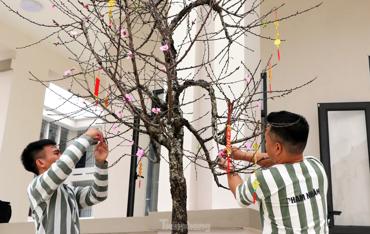 Các phạm nhân trang trí cành đào đón Tết.