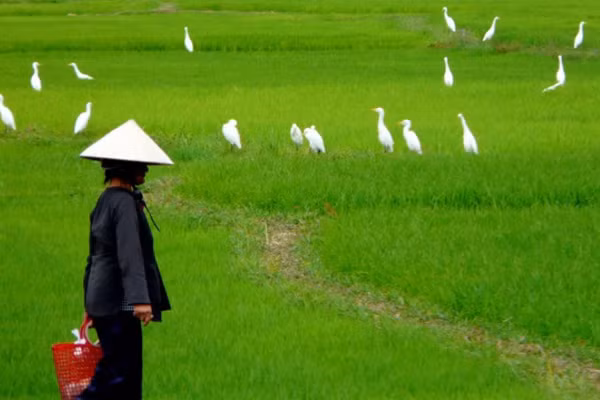 Mat viec sat Tet, con dau oa khoc khi me chong lam dieu nay