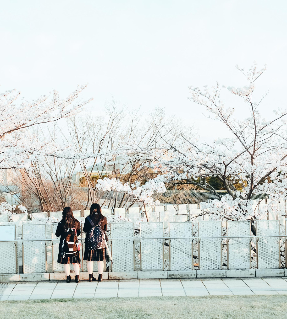 Sơn Tùng là người chuyên chia sẻ những hình ảnh được chụp tại Nhật Bản.