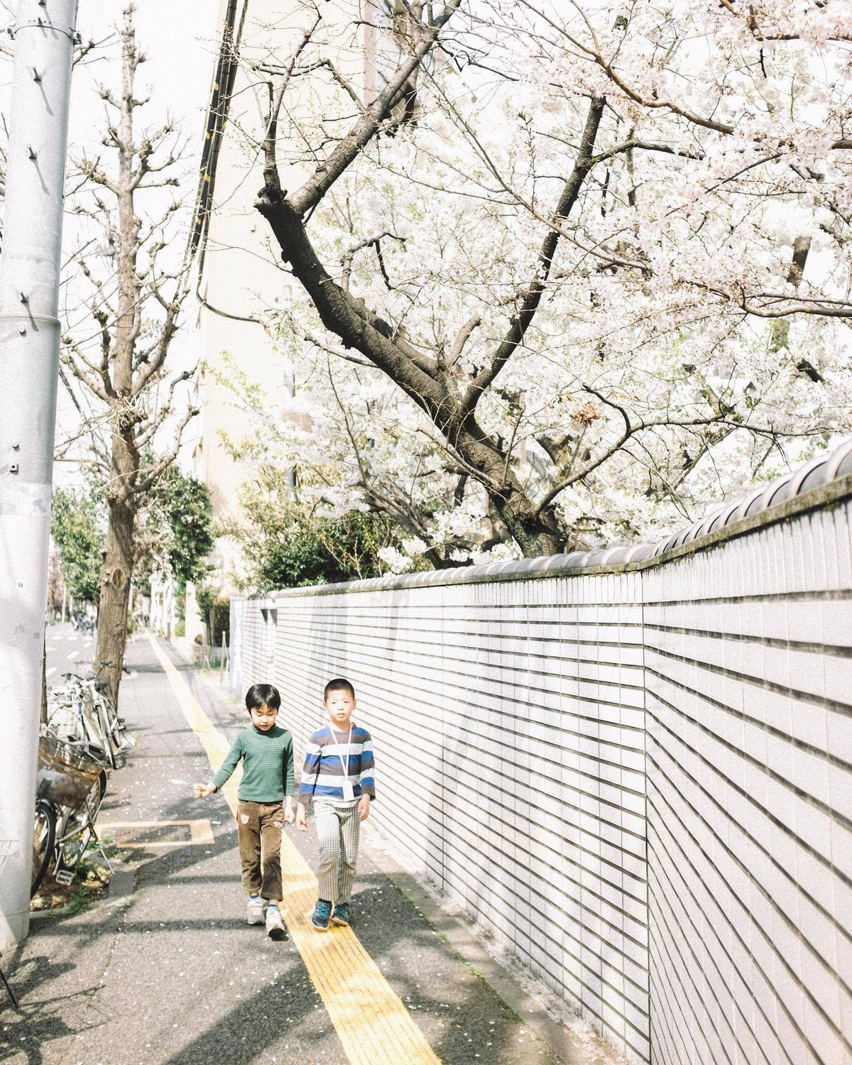 Mọi người ngắm những bức ảnh đẹp của Sơn Tùng như đọc những câu chuyện thú vị về đất nước Nhật Bản.