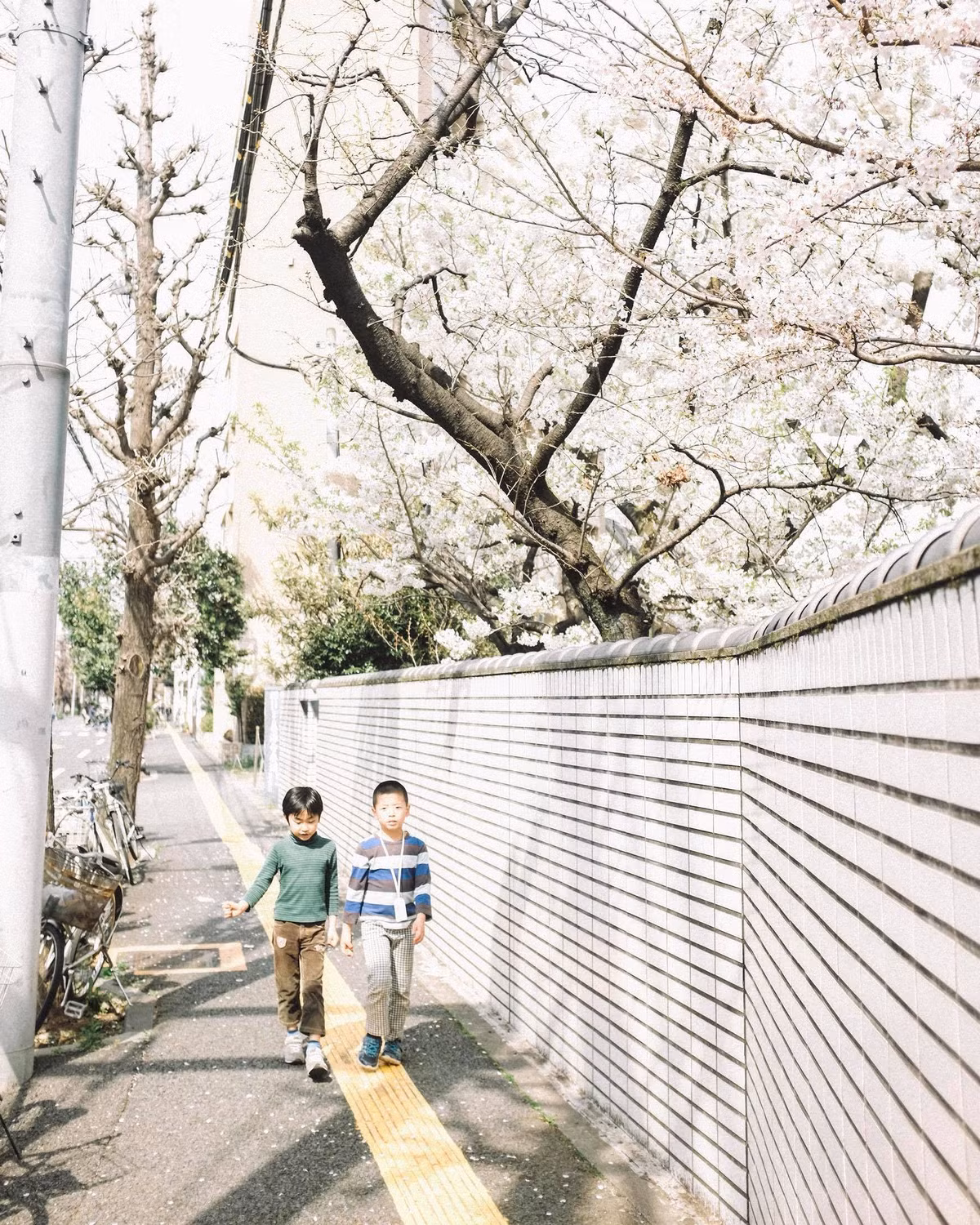 Mọi người ngắm những bức ảnh đẹp của Sơn Tùng như đọc những câu chuyện thú vị về đất nước Nhật Bản.