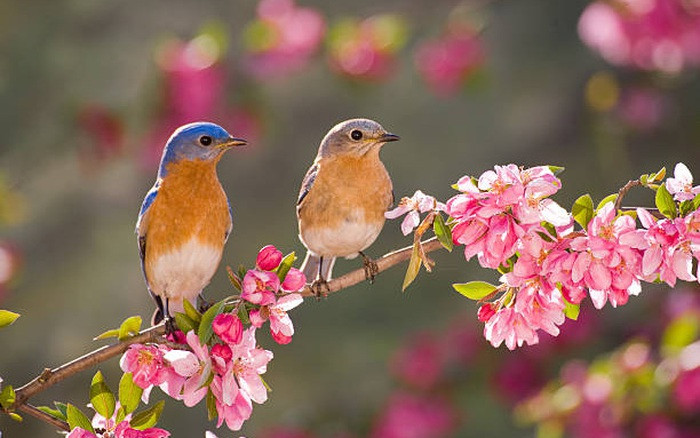 Họ có khí chất trời phú, thông minh tài giỏi, hoàn toàn có thể che giấu vẻ đẹp của mình, đặc biệt là sự nhạy bén trong kinh doanh, không cần phải nói, những người cao quý rất may mắn và giỏi đối nhân xử thế nên sự nghiệp phất lên, ngày càng giàu có nhanh hơn đàn ông. 