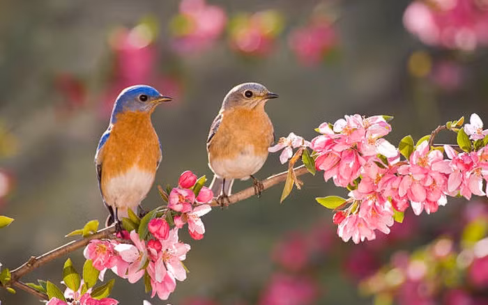 Họ có khí chất trời phú, thông minh tài giỏi, hoàn toàn có thể che giấu vẻ đẹp của mình, đặc biệt là sự nhạy bén trong kinh doanh, không cần phải nói, những người cao quý rất may mắn và giỏi đối nhân xử thế nên sự nghiệp phất lên, ngày càng giàu có nhanh hơn đàn ông. 