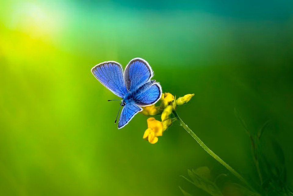 3 con giap thoi tre cham chi, tuoi trung nien com ao khong lo-Hinh-2