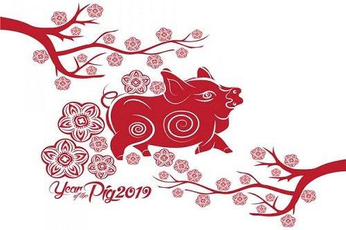 At Hoi 1995 dung buon nua: Hoan nan qua roi, sau mua troi lai sang-Hinh-4