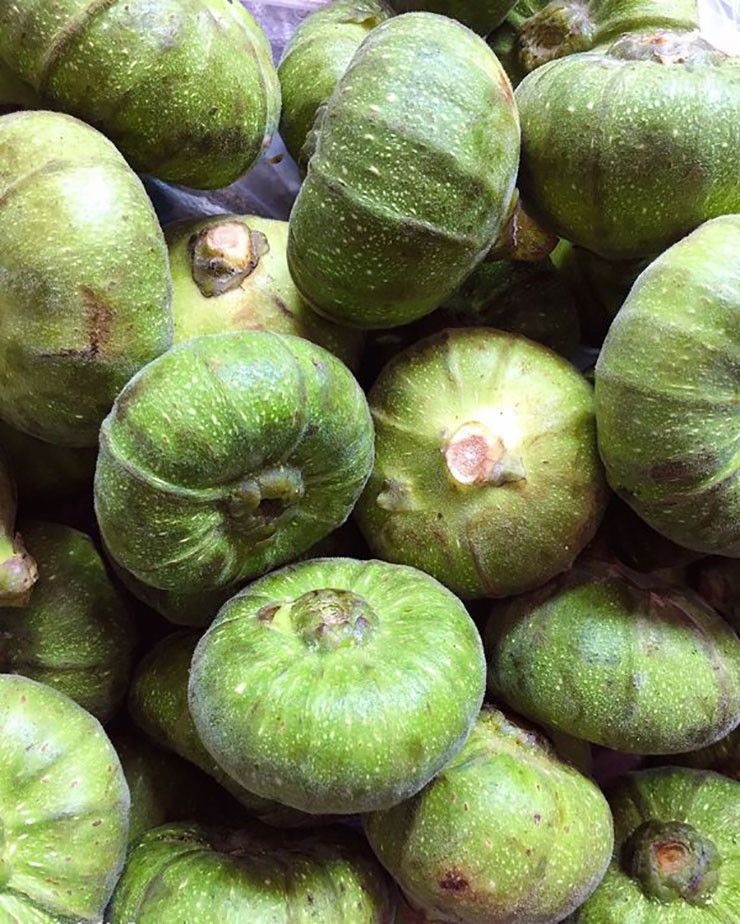 Quả vả khi còn non sẽ xanh và có lông mịn, hình dạng giống với củ tỏi. Càng về già, quả sẽ càng to và dẹp.