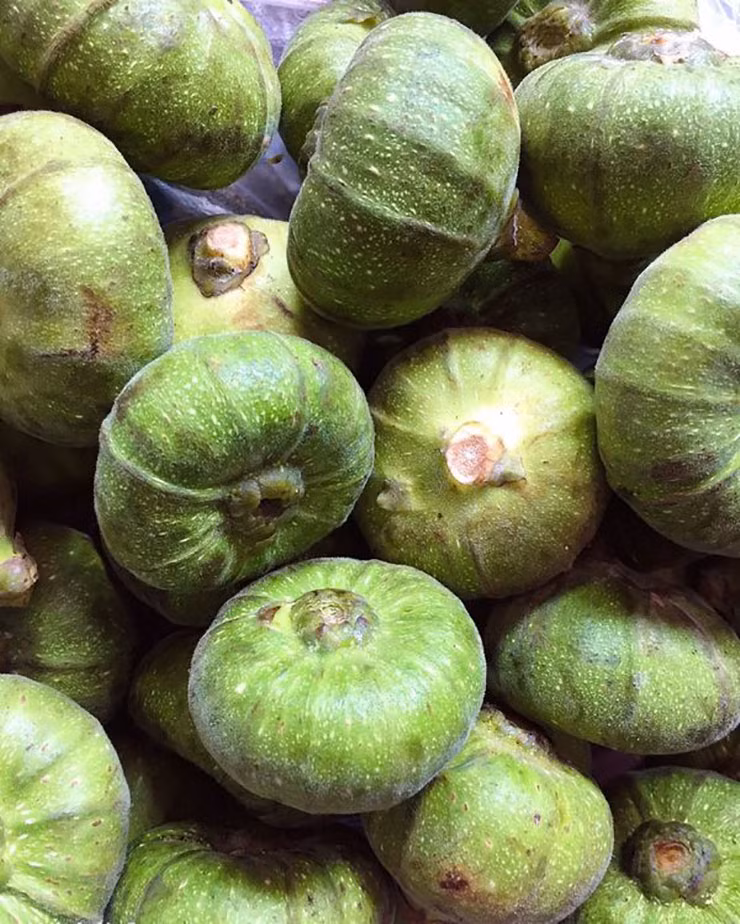 Quả vả khi còn non sẽ xanh và có lông mịn, hình dạng giống với củ tỏi. Càng về già, quả sẽ càng to và dẹp.