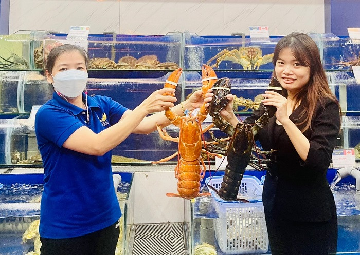 Điều ít biết về loại tôm hùm đột biến, khách trả 150 triệu đồng nhưng chủ nhân không bán ảnh 2