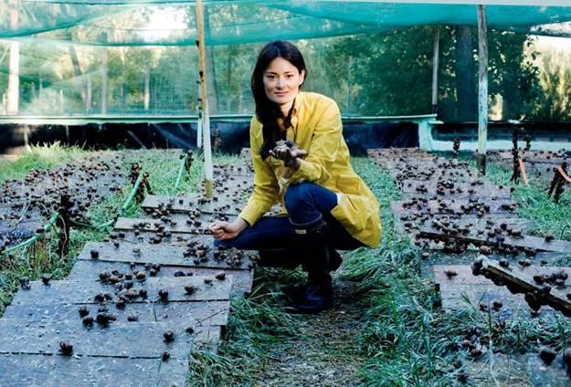 Ngày nay, quốc gia này tiêu thụ khoảng 40.000-60.000 tấn ốc sên mỗi năm, với hàng trăm trang trại đặc biệt khắp nước khai thác ốc sên ăn được chất lượng cao. Ảnh: Inventure.