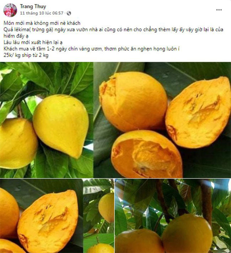 Mấy năm gần đây, thứ quả quê này bỗng xuất hiện ở thành phố, được bán với giá từ 25-30 nghìn đồng/kg, một số nơi còn bán lên tới 55 nghìn đồng/kg