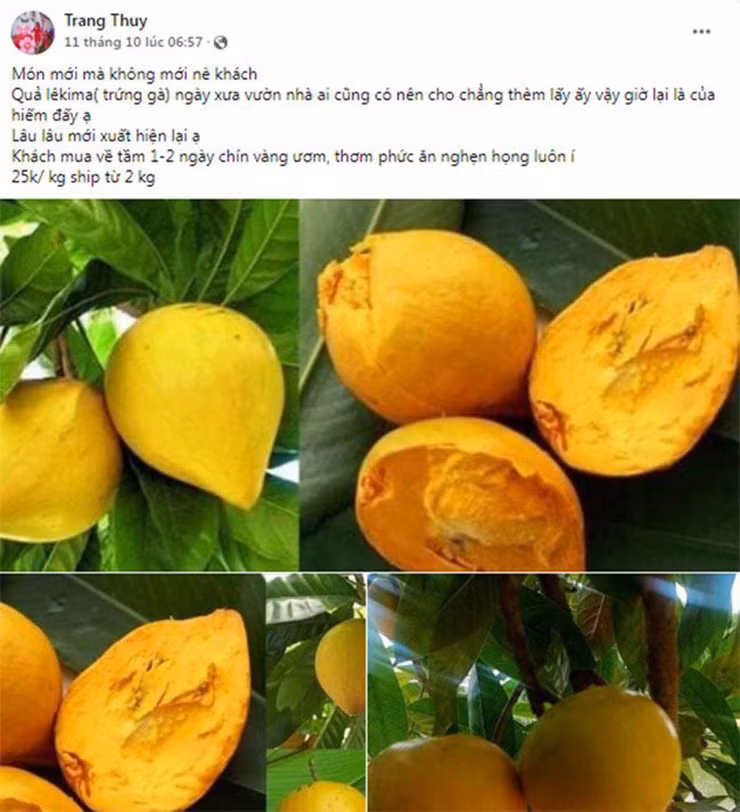 Mấy năm gần đây, thứ quả quê này bỗng xuất hiện ở thành phố, được bán với giá từ 25-30 nghìn đồng/kg, một số nơi còn bán lên tới 55 nghìn đồng/kg