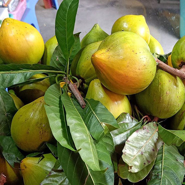 Thấy thứ quả này bán, nhiều người có cảm giác được trở về tuổi thơ nên mua 1-2 kg về cho các con ăn