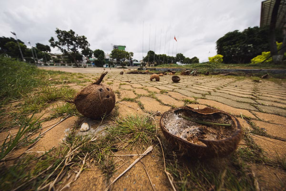 Vỏ dừa khô, rác thải vương vãi xung quanh khuôn viên nhà thi đấu Phú Thọ.