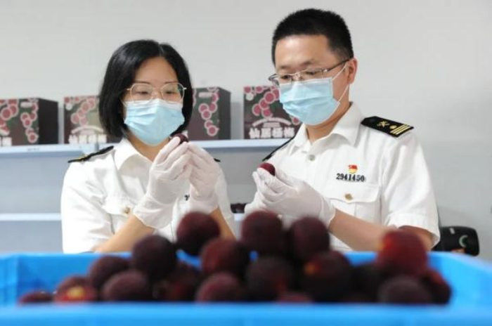 Qua chau A gia chi vai chuc/kg, sang Dubai ban hon 200 nghin/qua-Hinh-2