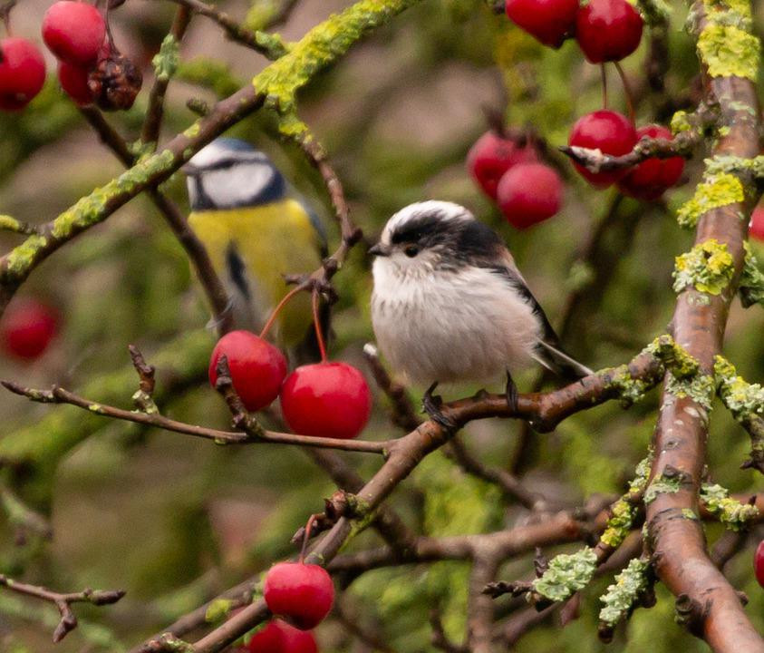 Ai sinh thang Am lich nay gap dau kho, kho khan, ve sau may man-Hinh-2