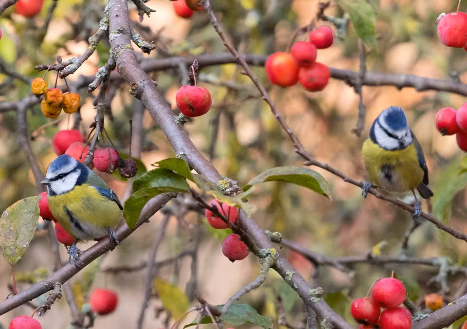 Ai sinh thang Am lich nay gap dau kho, kho khan, ve sau may man-Hinh-3