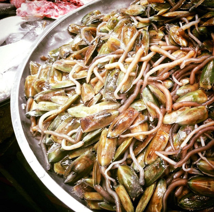 Nghề bắt giá bể cũng mang lại thu nhập cho nhiều người dân ở miền biển.