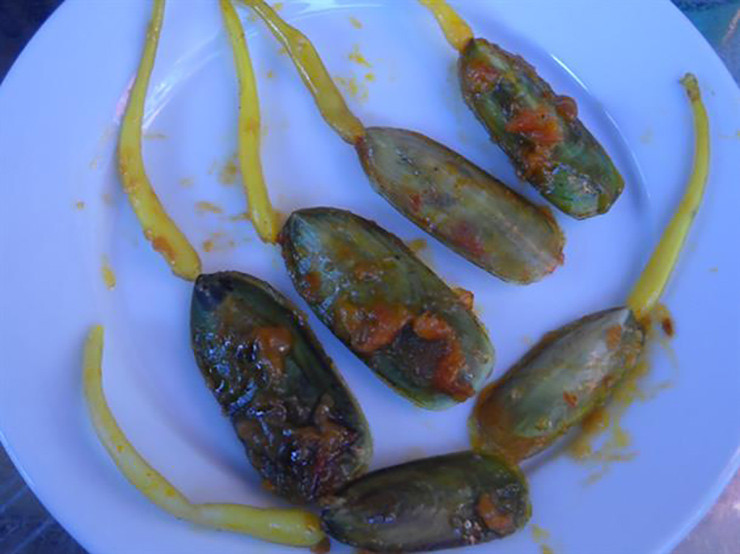 Loài này có phần chân dài, lộ ra ngoài để dễ dàng tìm kiếm thức ăn.