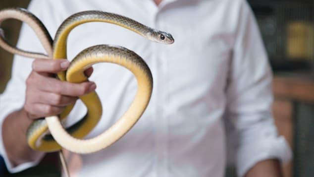 Từng lên sóng CNN, Reuters, làng nghề tại HN du khách phải e sợ Tung len song CNN, Reuters, lang nghe tai HN du khach phai e so