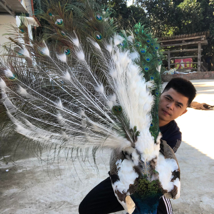 Mất 4 tiếng mỗi ngày chăm sóc con vật này, 9x Bắc Giang thu cả tỷ đồng/năm Mat 4 tieng moi ngay cham soc con vat nay, 9x Bac Giang thu ca ty dong/nam