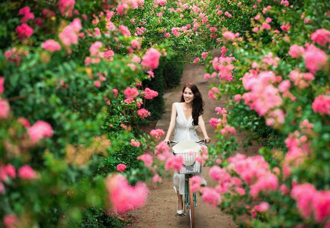 Ngam bo anh thieu nu ben hoa tuong vi day suc song-Hinh-6