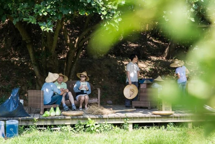 Nhờ cây xanh trong làng được trồng bài bản, nên không gian mát mẻ, nhiệt độ thấp hơn bên ngoài 2-3 độ C.
