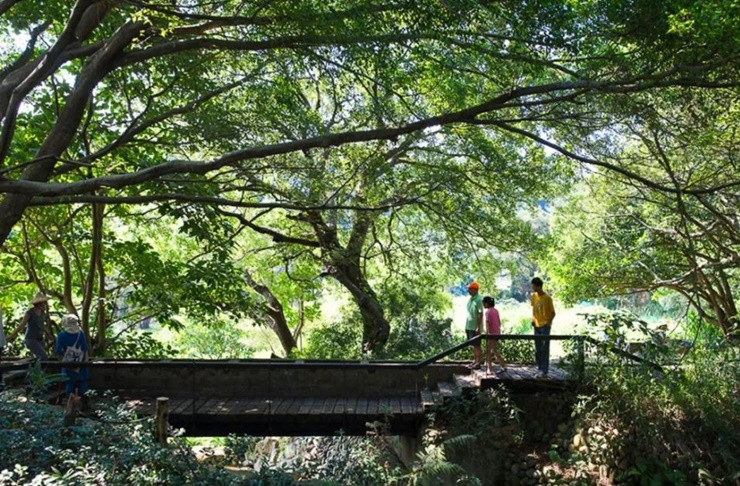 Tổng số tiền mà họ góp là 150 triệu tệ (100 tỷ đồng). Mục tiêu xây dựng ở đây là tôn trọng tự nhiên, không quá gò bó.