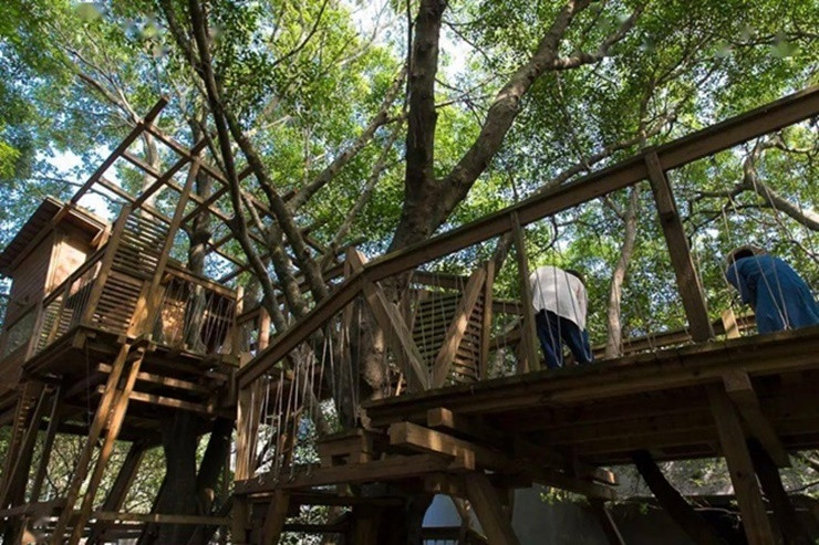 Trong sân mỗi hộ đều trồng những loại cây phát triển theo mùa tương ứng, để người dân có thể cảm nhận được bốn mùa.