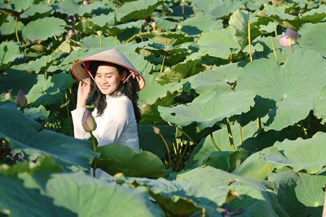 Đến với khu vực đầm sen, trang phục được các bạn trẻ lựa chọn thường là áo dài, áo bà ba, áo yếm,… cùng nhiều món phụ kiện như nón lá, bó hoa… Nắm bắt nhu cầu chụp ảnh của khách hàng, chủ đầm đã tạo ra những tiểu cảnh đơn giản, mang đậm chất truyền thống như thuyền nan, lối đi bằng tre cho bức ảnh thêm phần sinh động nhưng vẫn nên thơ, trữ tình. Ảnh: Mai Hương