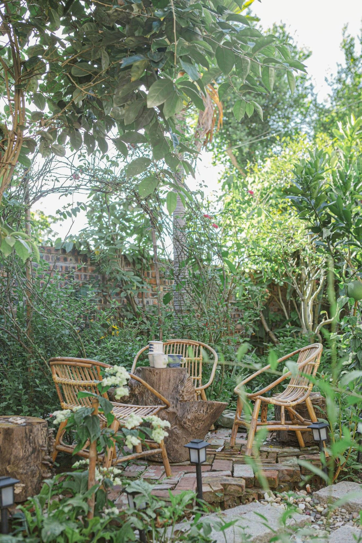 Bộ bàn ghế mây được bao quanh bởi các loại cây nhỏ. Khu vực này xếp gạch đỏ hình xương cá, bàn trà là gốc cây nguyên bản, mài mặt. Hai chiếc đèn hắt sáng, đồng thời có tác dụng trang trí, làm đẹp.