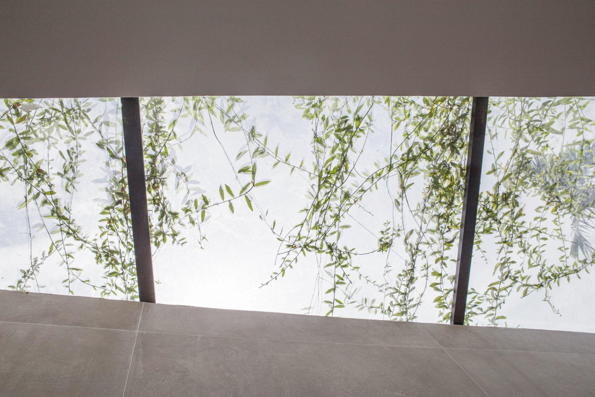 View nhìn từ dưới giếng trời.