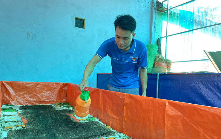 Ở Nghệ An, anh Nguyễn Văn Huấn khởi nghiệp nuôi dế Thái chỉ với số vốn 10 triệu đồng, giờ đây cho thu nhập mỗi năm trên 200 triệu đồng