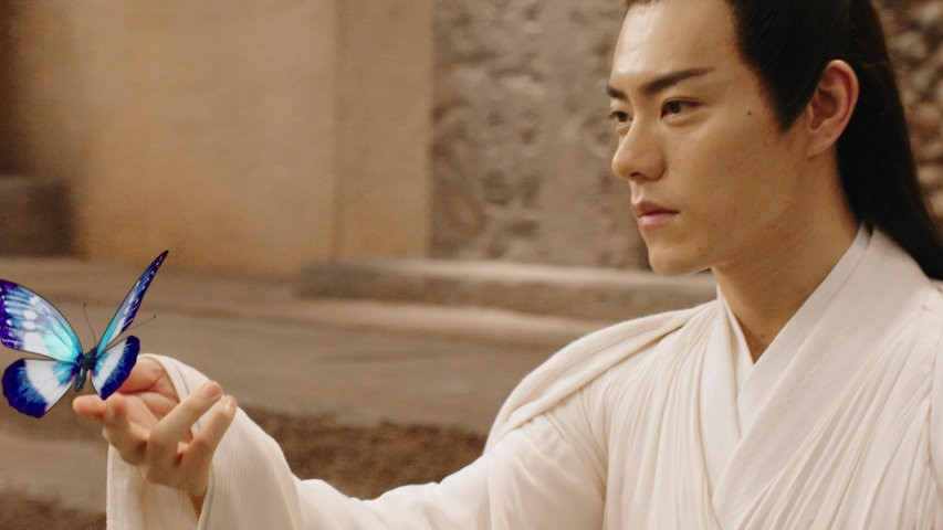 Trong nguyên tác, Bạch Tử Họa chưởng môn Trường Lưu Sơn, chấp chưởng Tuyệt Tình điện. Dẫu biết Hoa Thiên Cốt là sinh tử kiếp của mình vẫn không trốn tránh, còn nhận nàng làm đồ đệ. Bạch Tử Họa cũng đem lòng yêu Hoa Thiên Cốt nhưng giấu kín làm nảy sinh nhiều bi kịch sau này. Bạch Tử Họa có lời thề cả đời không phụ Lục giới, không phụ chúng sinh, không phụ Trường Lưu, nhưng lại phụ chính người mình yêu. Vai diễn Bạch Tử Họa được Hoắc Kiến Hoa thể hiện rất thành công.