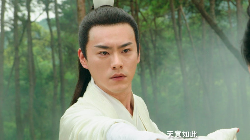 Vai diễn khác cũng gây tranh cãi là nam chính Bạch Tử Họa do diễn viên Lý Trình Bân đóng. Tạo hình của Lý Trình Bân bị đánh giá là khắc khổ, kém đẹp so với Hoắc Kiến Hoa, dù anh trẻ tuổi hơn.