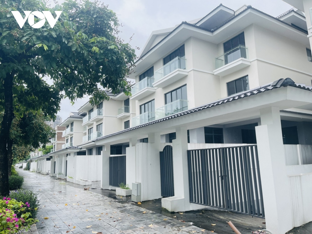 Dự án được khởi công từ năm 2008, tổng mức đầu tư ban đầu 7.642 tỷ đồng, với 1.116 căn biệt thự ở vị trí trung tâm Khu đô thị mới Dương Nội. Hầu hết các căn biệt thự đã được hoàn thiện, hạ tầng, cảnh quan, đường xá, hệ thống đèn chiếu sáng đầy đủ nhưng vẫn vắng bóng cư dân về ở.