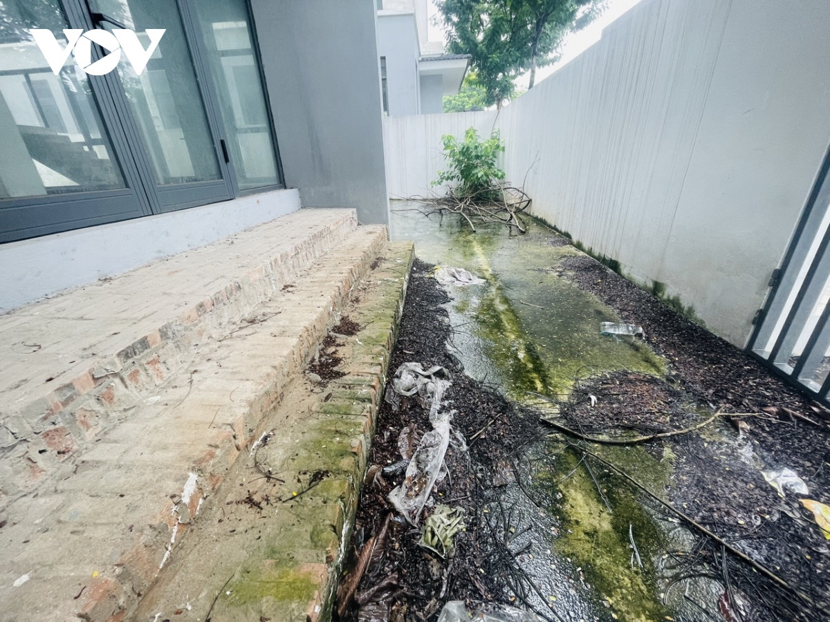 Trước cửa chính của nhiều căn tràn ngập cỏ, rác và đầy rêu phong.