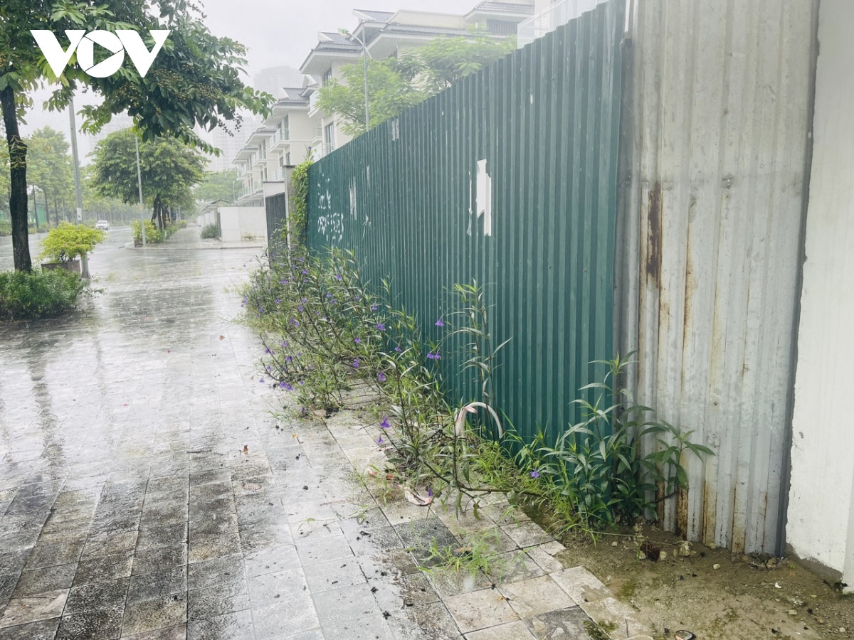 Không ở, không cho thuê, một số căn biệt thự được rào chắn tạm bợ bằng những tấm tôn, xung quanh cỏ mọc um tùm.