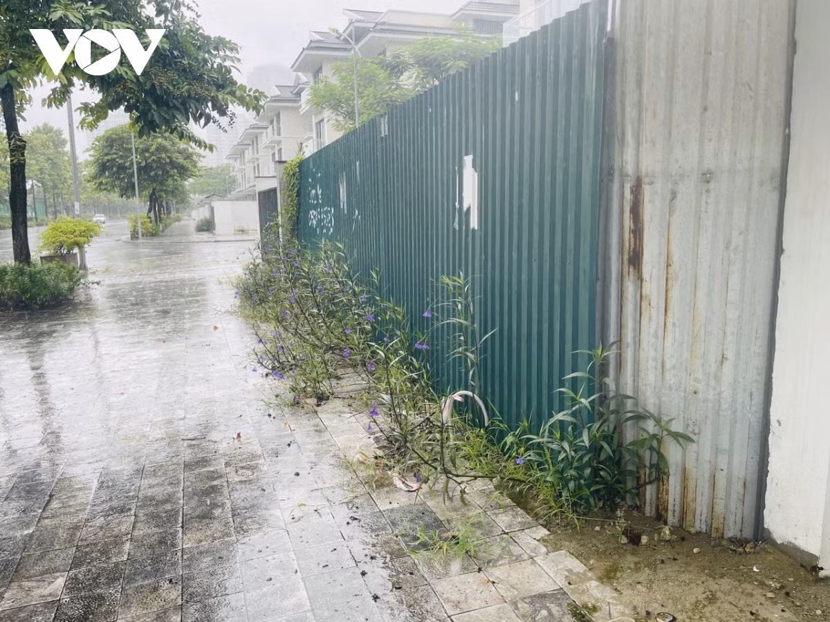 Không ở, không cho thuê, một số căn biệt thự được rào chắn tạm bợ bằng những tấm tôn, xung quanh cỏ mọc um tùm.