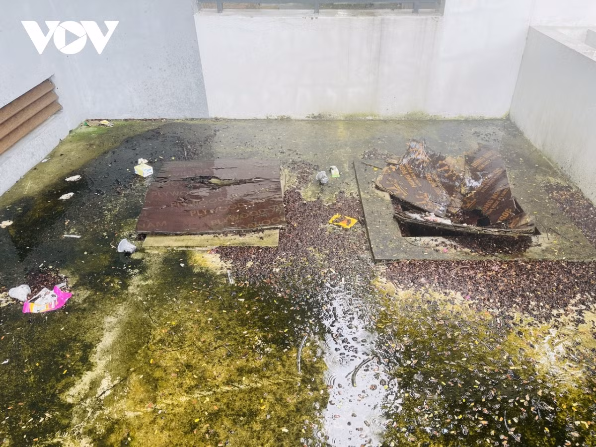 Các hạng mục xuống cấp theo thời gian và trở nên cũ kỹ, tiêu điều dù chưa một lần được sử dụng.