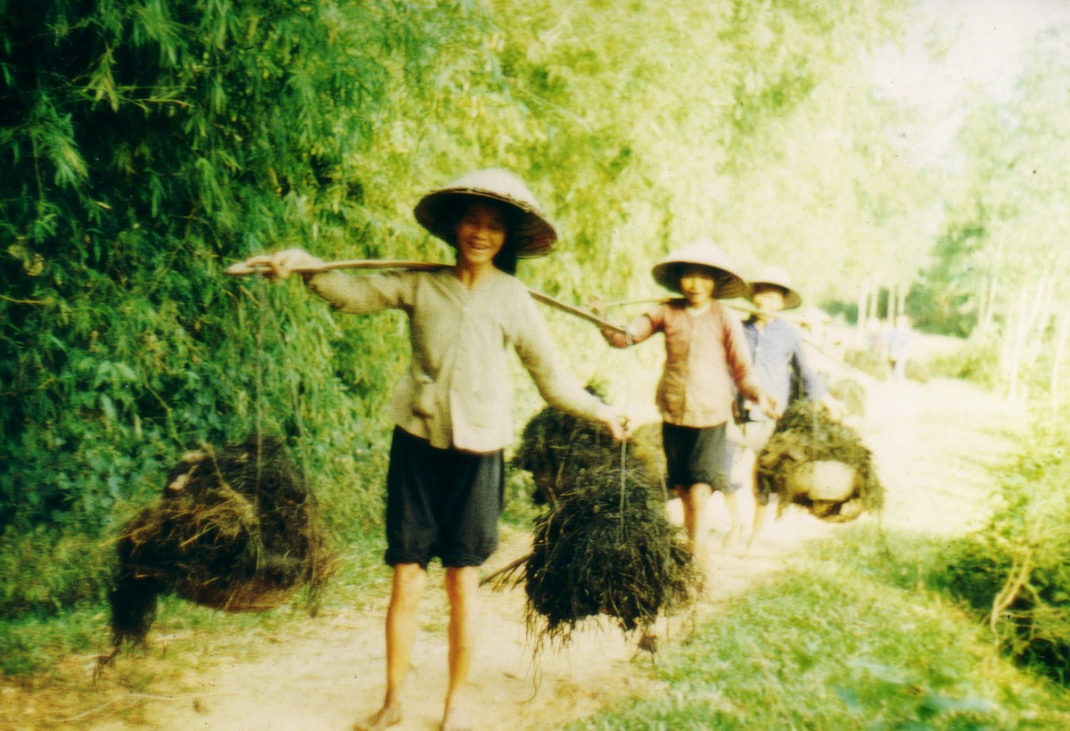Các bà gánh cỏ khô trên đường làng, vùng nông thôn Thái Nguyên năm 1973-1974.