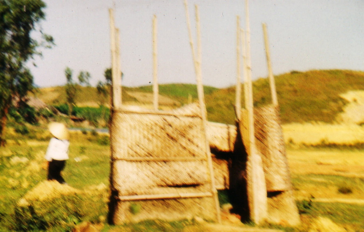 Nhà vệ sinh giữa cánh đồng.