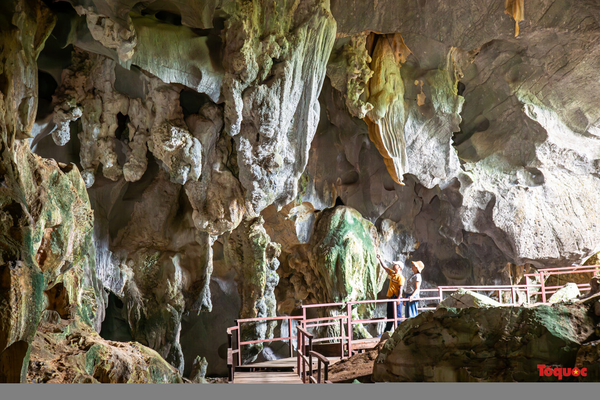 Rêu xanh sinh trưởng ở các rặng thạch nhũ tại cửa hang