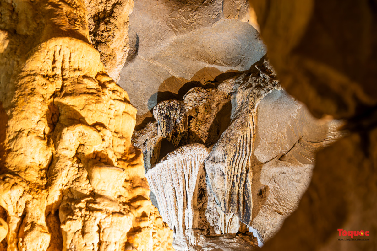 Những khối thạch nhũ đa sắc màu bám lấy trần hang hay kết tụ hàng triệu năm để hình thành những cột nhũ với sự đa dạng hình thù và màu sắc