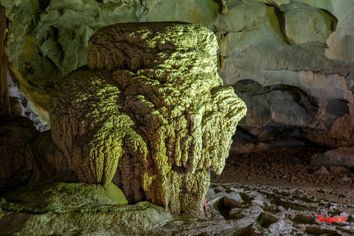 Cột thạch nhũ độc lập đã hình thành ở nền hang động