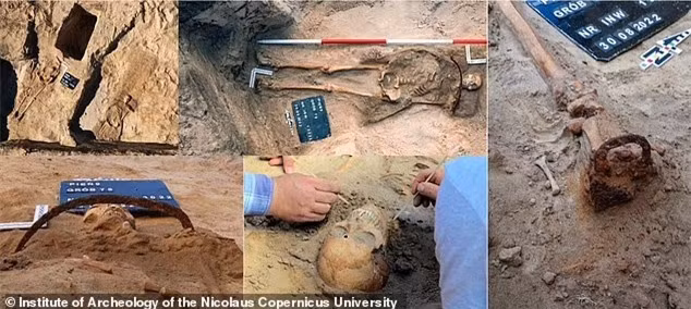 Bi an co gai ‘ma ca rong’ bi chon voi luoi liem tren co-Hinh-2