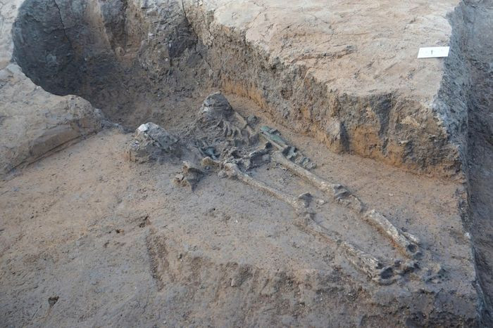 Các nhà khai quật nhận định, hệ thống di cốt trong các mộ táng thuộc các giai đoạn khác nhau vẫn còn được bảo tồn khá tốt, hứa hẹn sẽ đưa đến những hiểu biết sâu hơn khi triển khai nghiên cứu về người Việt cổ trong thời đại Kim khí ở miền Bắc Việt Nam. Ảnh: Nguyên Khánh / Báo Tiền Phong.